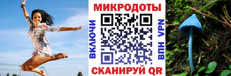 купить наркотики цена  Волчанск  Псилоцибиновые грибы MAGIC MUSHROOMS 